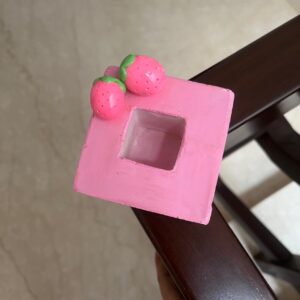 Strawberry Cheesecake Holder